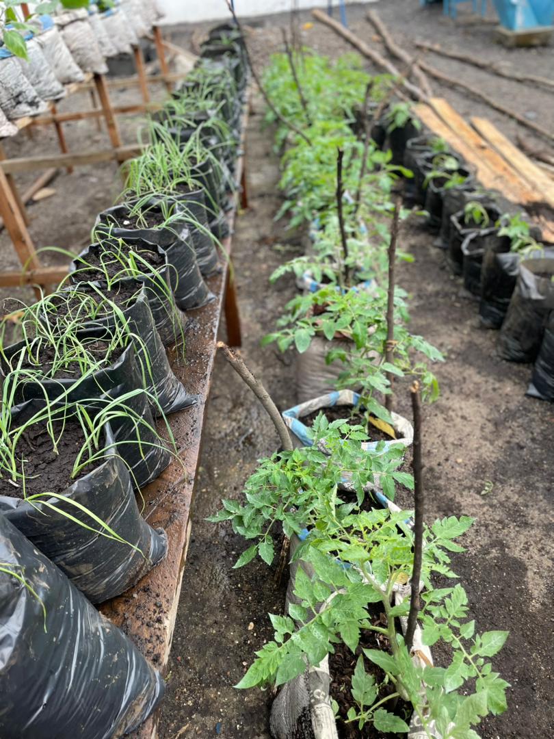 Agriculture & Élevage